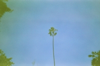 https://www.flashcameraproject.com/files/dimgs/thumb_0x200_1_24_422.jpg