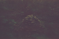 https://www.flashcameraproject.com/files/gimgs/th-12_000030160010.jpg