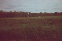 https://www.flashcameraproject.com/files/gimgs/th-12_000030160014.jpg