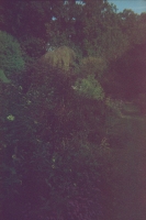 https://www.flashcameraproject.com/files/gimgs/th-12_000030160018.jpg