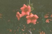 https://www.flashcameraproject.com/files/gimgs/th-15_000012560024.jpg