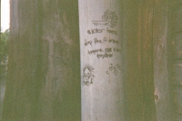 https://www.flashcameraproject.com/files/gimgs/th-15_000012560025.jpg