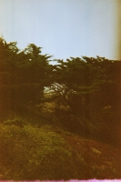https://www.flashcameraproject.com/files/gimgs/th-16_000055770008.jpg