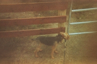 https://www.flashcameraproject.com/files/gimgs/th-16_000055770011.jpg