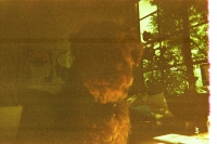 https://www.flashcameraproject.com/files/gimgs/th-16_000055770020.jpg