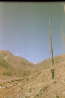 https://www.flashcameraproject.com/files/gimgs/th-17_000089120001.jpg