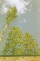 https://www.flashcameraproject.com/files/gimgs/th-17_000089120002.jpg