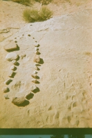 https://www.flashcameraproject.com/files/gimgs/th-17_000089120005.jpg