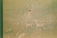 https://www.flashcameraproject.com/files/gimgs/th-17_000089120008.jpg
