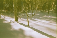 https://www.flashcameraproject.com/files/gimgs/th-17_000089120024.jpg