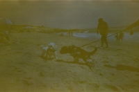 https://www.flashcameraproject.com/files/gimgs/th-21_000033950008.jpg