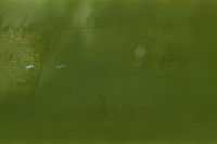 https://www.flashcameraproject.com/files/gimgs/th-24_000012550008.jpg