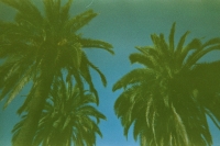 https://www.flashcameraproject.com/files/gimgs/th-24_000012550009.jpg