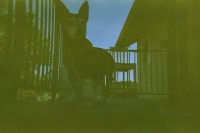 https://www.flashcameraproject.com/files/gimgs/th-24_000012550016.jpg