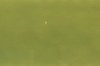 https://www.flashcameraproject.com/files/gimgs/th-24_000012550018.jpg