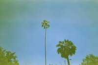 https://www.flashcameraproject.com/files/gimgs/th-24_000012550025.jpg
