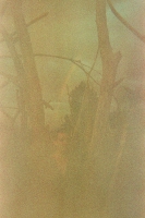 https://www.flashcameraproject.com/files/gimgs/th-25_000012570001.jpg