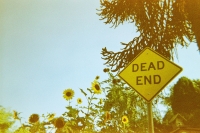 https://www.flashcameraproject.com/files/gimgs/th-25_000012570014.jpg