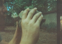 https://www.flashcameraproject.com/files/gimgs/th-26_sprinter.jpg