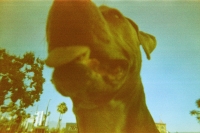 https://www.flashcameraproject.com/files/gimgs/th-31_000033960017.jpg