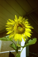 https://www.flashcameraproject.com/files/gimgs/th-34_000033940015.jpg