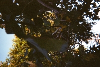 https://www.flashcameraproject.com/files/gimgs/th-36_000064380001.jpg