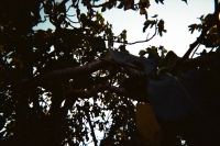 https://www.flashcameraproject.com/files/gimgs/th-36_000064380002.jpg