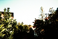 https://www.flashcameraproject.com/files/gimgs/th-36_000064380005.jpg