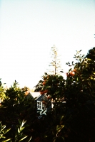 https://www.flashcameraproject.com/files/gimgs/th-36_000064380006.jpg
