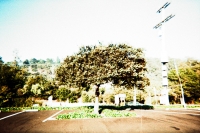 https://www.flashcameraproject.com/files/gimgs/th-36_000064380008.jpg
