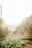 https://www.flashcameraproject.com/files/gimgs/th-36_000064380009.jpg