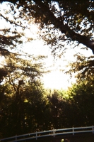 https://www.flashcameraproject.com/files/gimgs/th-36_000064380013.jpg