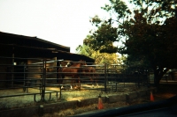 https://www.flashcameraproject.com/files/gimgs/th-36_000064380016.jpg