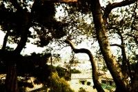 https://www.flashcameraproject.com/files/gimgs/th-36_000064380022.jpg