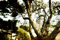 https://www.flashcameraproject.com/files/gimgs/th-36_000064380023.jpg