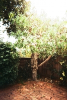 https://www.flashcameraproject.com/files/gimgs/th-36_000064380026.jpg