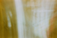 https://www.flashcameraproject.com/files/gimgs/th-45_000000740016.jpg