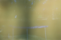https://www.flashcameraproject.com/files/gimgs/th-46_000097520007.jpg
