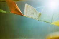 https://www.flashcameraproject.com/files/gimgs/th-6_000012580008.jpg