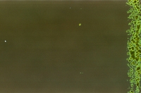 https://www.flashcameraproject.com/files/gimgs/th-8_000033970002.jpg