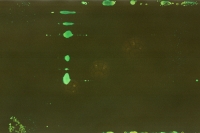 https://www.flashcameraproject.com/files/gimgs/th-8_000033970007.jpg