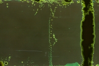 https://www.flashcameraproject.com/files/gimgs/th-8_000033970010.jpg