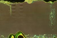 https://www.flashcameraproject.com/files/gimgs/th-8_000033970012.jpg
