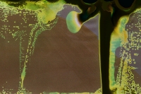 https://www.flashcameraproject.com/files/gimgs/th-8_000033970013.jpg