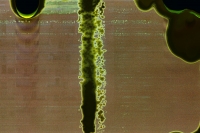 https://www.flashcameraproject.com/files/gimgs/th-8_000033970016.jpg